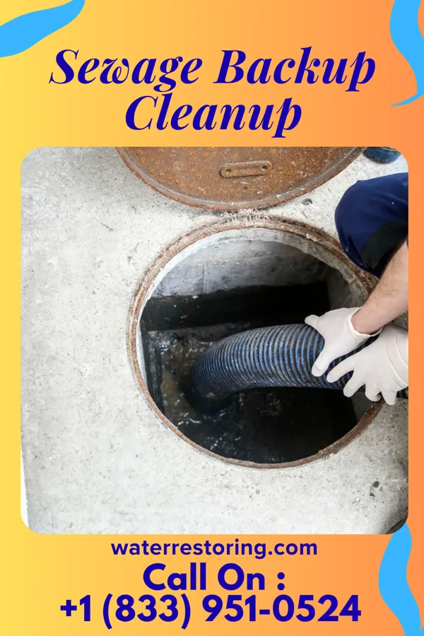 Sewage Backup Cleanup in Elko New Market, MN